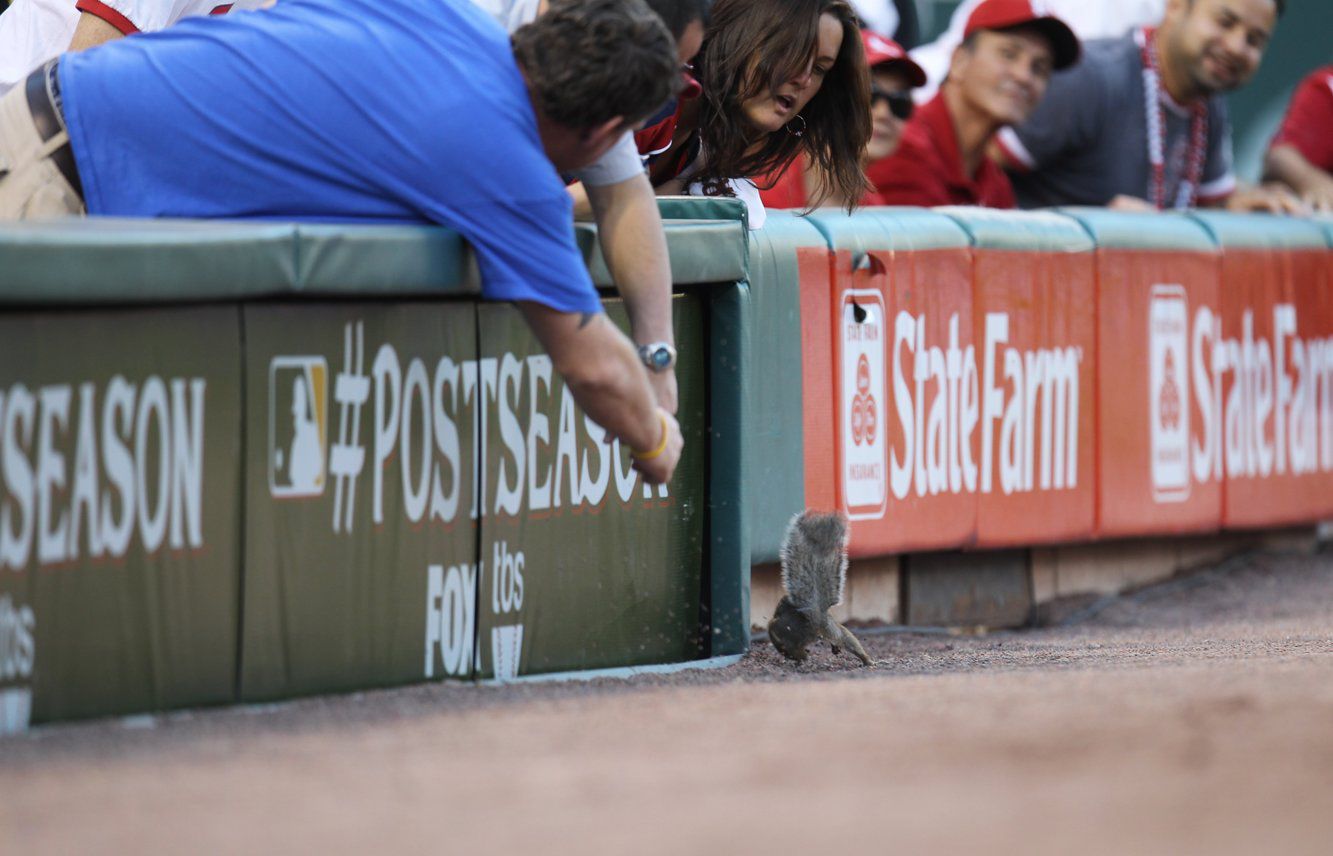 St. Louis Cardinal vs Philadelphia Phillies NLDS game 3